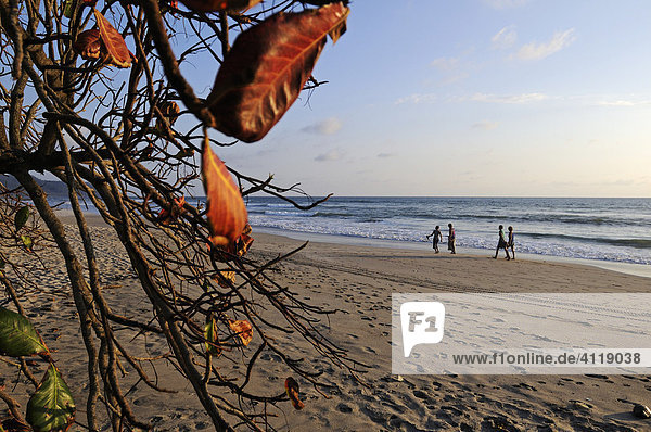 Beach of Santa Teresa Mal Pais Nicoya Peninsula Costa Rica Central America
