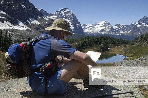 Wanderer liest seine Wanderkarte  Lake O'Hara  Yoho Nationalpark  British Columbia  Kanada
