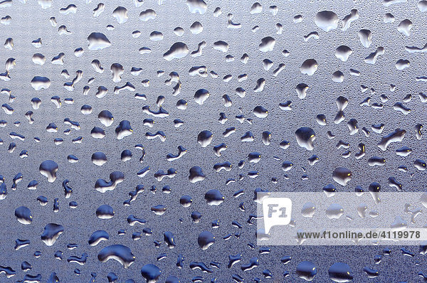 Water droplets on a window