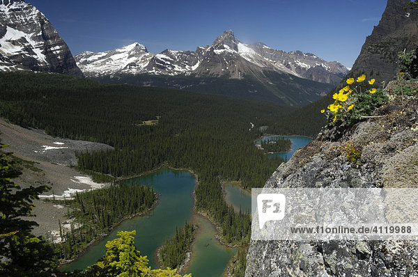 Majestic view of Mary Lake and the Canadian Rocky Mountains near Lake O'Hara  Yoho National Park  British Columbia  Canada