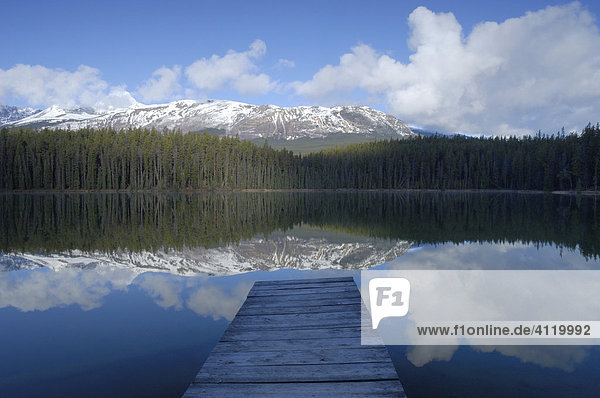 Canadian Rocky Mountains - Leach Lake  Jasper National Park  Alberta  Canada