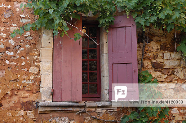 Typical Provincial shutters with grape vines  France