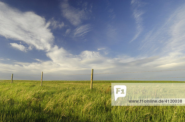 Prairie sky and fence lines  West of Clagary  Alberta  Canada