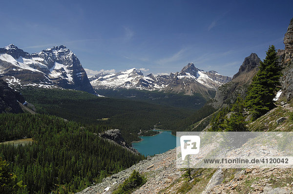 View of Lake O'Hara and surrounding mountains from the Alpine Circuit trail  Yoho National Park  British Columbia  Canada
