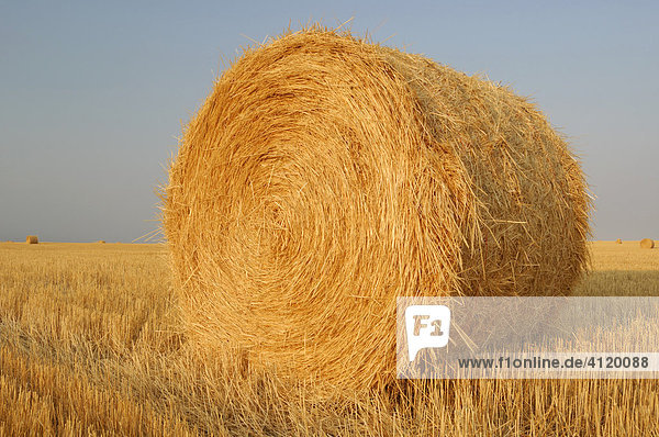 Bales of hay bathed in morning light - Southern Saskatchewan  Canada