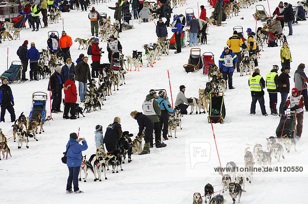 Participants  dogsled race  Finnmarkslopet  Alta  Finnmark  Norway
