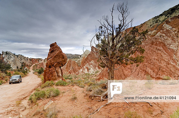 Gravel road alongside Waterpocket Fold  Strike Valley  Mulay Twist Canyon  Capitol Reef National Park  Utah  USA
