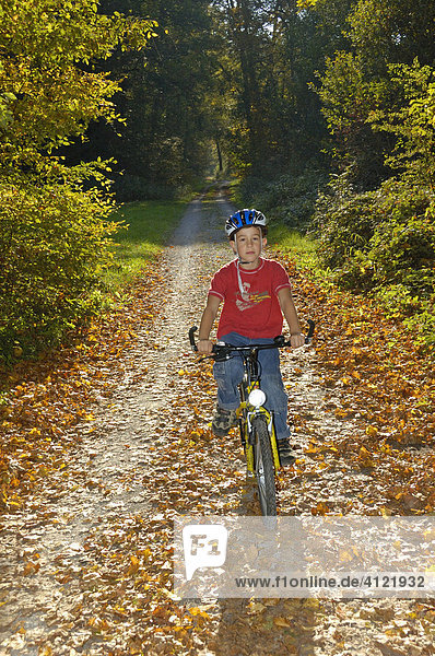Kind fährt Rad auf einem Waldweg im Herbst  Naturpark Schönbuch  Baden-Württemberg  Deutschland
