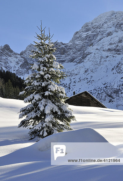 Winter im Kleinwalsertal  Vorarlberg  Österreich  Europa