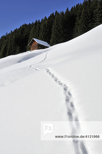 Fußspuren führen zu einer Hütte bei Baad  Kleinwalsertal  Vorarlberg  Österreich  Europa