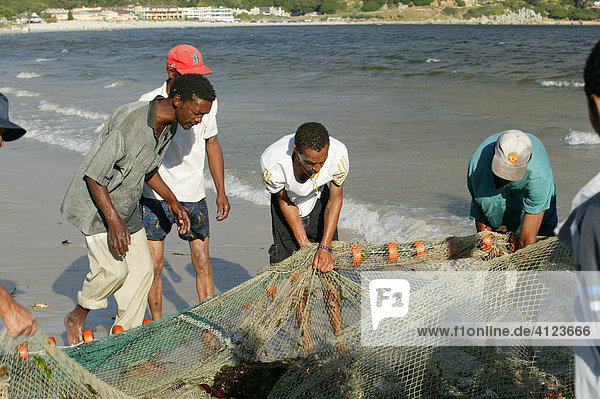 Fischer am Strand mit Fischernetz  Hout Bay  Kapstadt  Südafrika