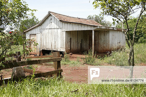Verlassenes Bauernhaus  Paraguay  Südamerika