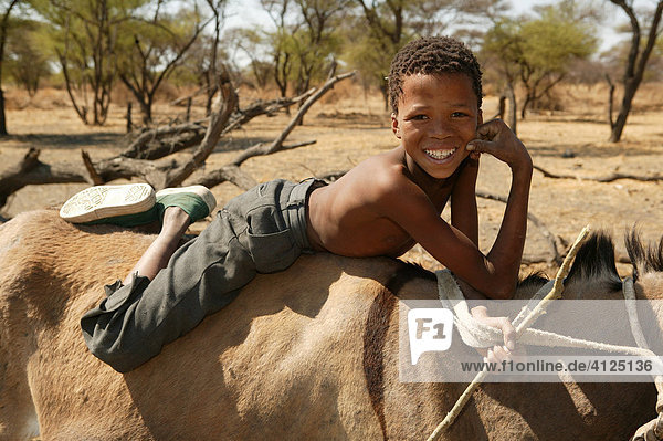 Boy riding on donkey  Cattlepost Bothatoga  Botswana  Africa
