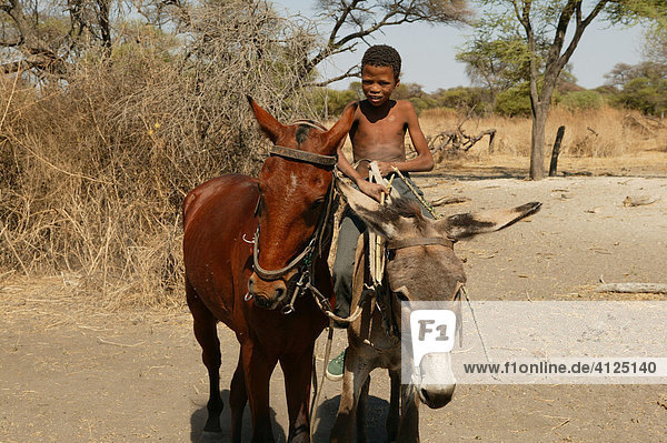Boy riding on donkey  Cattlepost Bothatoga  Botswana  Africa