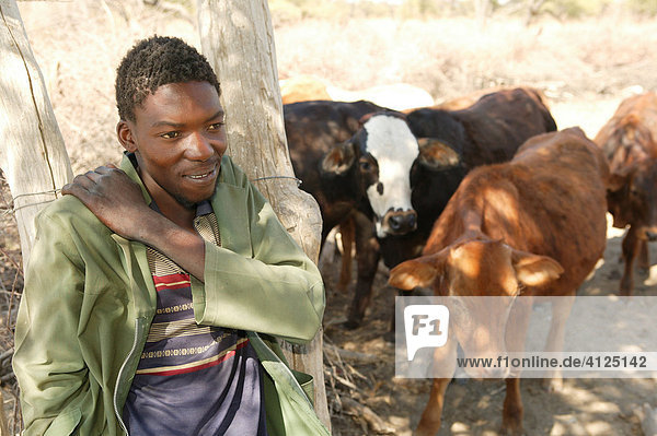 Cattle herder  Cattlepost Bothatoga  Botswana  Africa