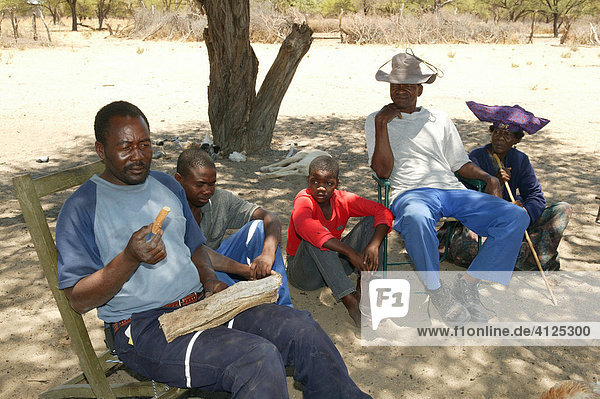 Traditional healer displaying various medicinal herbs  Sehitwa  Botswana  Africa