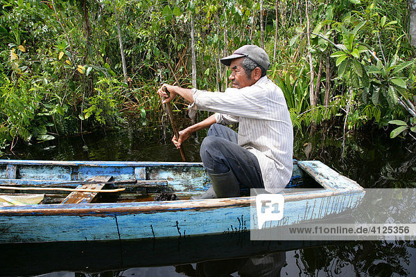 Fisherman  riverside landscape  Kamuni river in the Guayana rainforest  South America