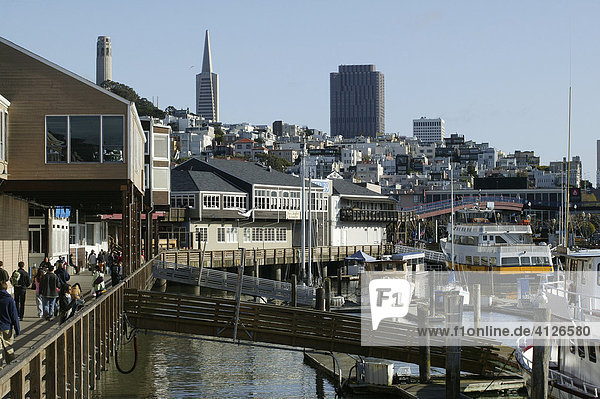 Pier 39  Fisherman's Wharf  San Francisco  California  USA  North America