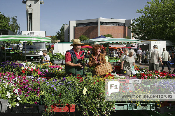 Flower and plant market in Waldkraiburg  Upper Bavaria  Bavaria  Germany Europe