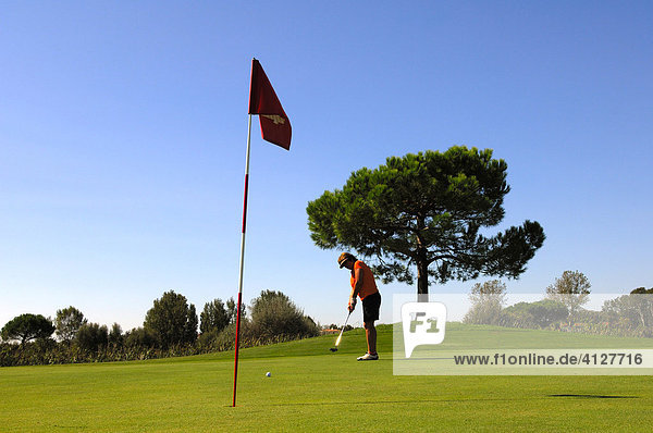 Golfer beim Putten  Golfplatz  Caorle  Venezien  Italien