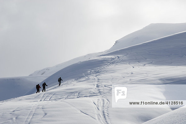 Moutaineers hiking on ski in the Zillertaler alps  Tyrol Austria