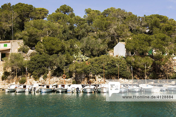 Bucht von Cala Figuera mit Fischerbooten vor Bäumen  Cala Figuera  Mallorca  Balearen  Spanien  Europa