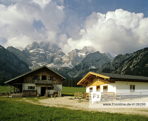 Rhontaler Alm in summer  Rhontal  eastern Karwendelspitze  Vogelkarspitze  Karwendel  Tyrol  Austria