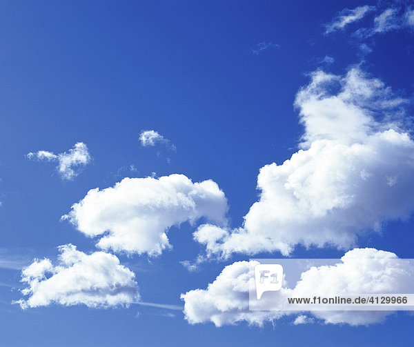 Cumulus  Haufenwolken  blauer Himmel