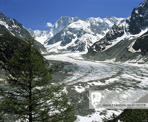 Mer de Glace Glacier viewed from Montenvers Lookout  Grand Jorasses  Savoy Alps  France  Europe