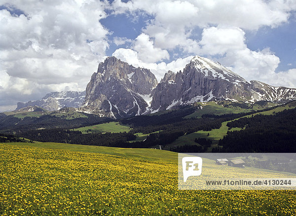 Seiser Alm  Blick zur Langkofelgruppe  Dolomiten  Südtirol  Italien
