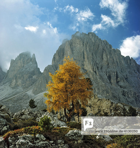 Fünffingerspitze  Langkofel-Gruppe  Dolomiten  Südtirol  Italien