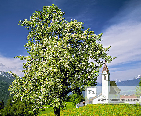 Pfarrkirche von Mösern  Frühling  Inntal  Tirol  Österreich