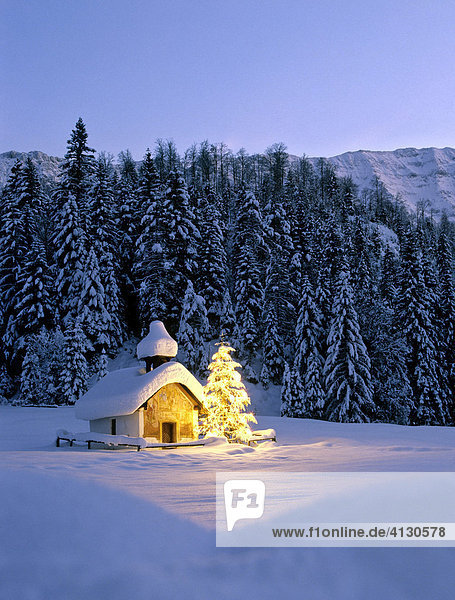 Chapel near Elmau  dusk  snow-covered winter landscape  Christmas tree  Upper Bavaria  Bavaria  Germany