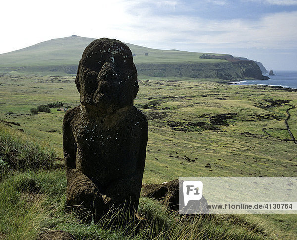 Moai  stone sculpture made from tuff rock  Easter Island  Chile  Oceania