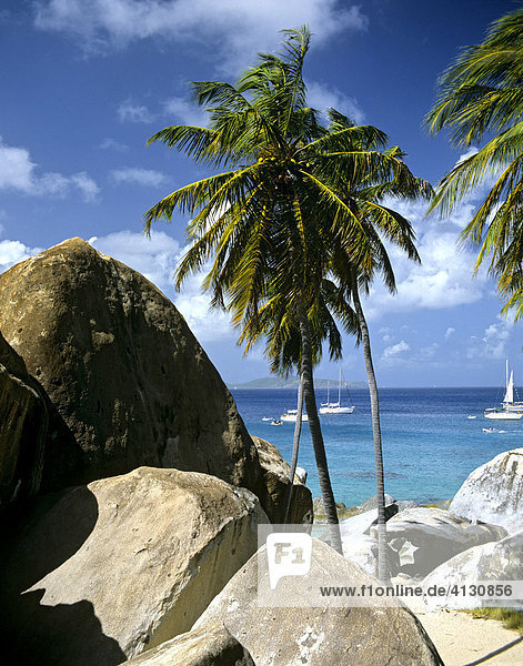 Felsen und Palmen am Strand  Virgin Gorda  Britische Jungferninseln  British Virgin Islands  Kleine Antillen  Karibik