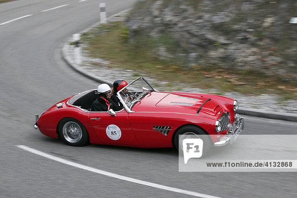 Austin Healey Baujahr 1959
