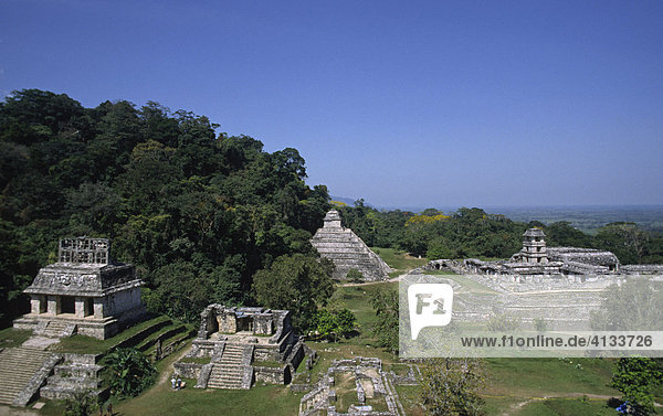 Blick über die Tempel von Palenque  Chiapas  Mexiko  Nordamerika