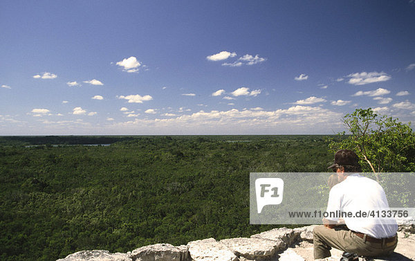 View from the top of the Nohoch-Mul pyramid  Coba  Mexico  North America