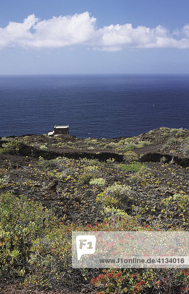 Landscape formed by a volcano at the north coast of the island  El Hierro  Canary Islands  Spain