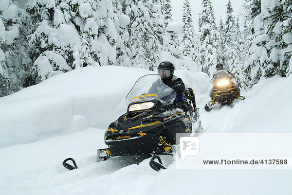 CAN  Canada   Quebec : Snowmobiles in the region of Saguenay - Lac Saint Jean  Monts Valin