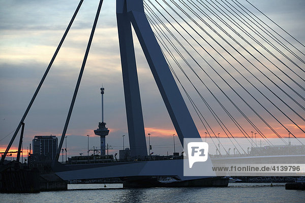 Erasmusbrug bridge over the Maas river  Rotterdam  The Netherlands  Europe