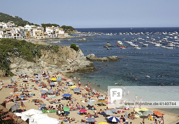 Küste bei Calella de Palafrugell Costa Blanca Katalonien Spanien Europa