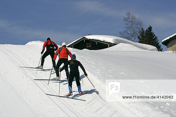 Cross-country skiing  skiers walking uphill