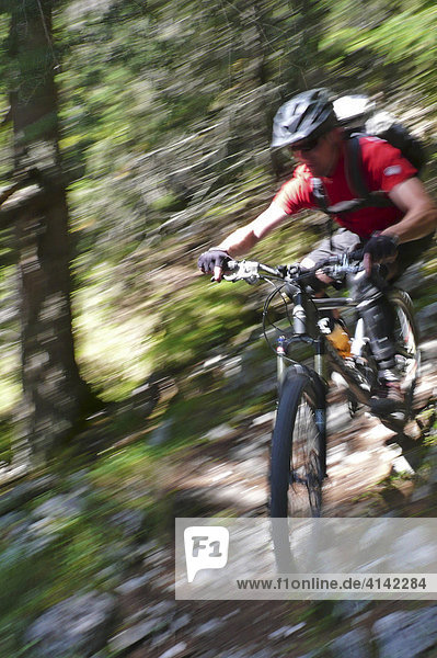 Downhill mountain biker in the forest