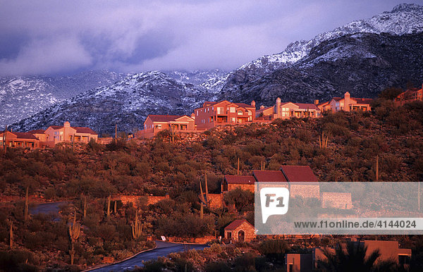 USA  Vereinigte Staaten von Amerika  Arizona: Wohnsiedlung im Norden von Tucson  Santa Catalina Mountains  seltener Schneefall.