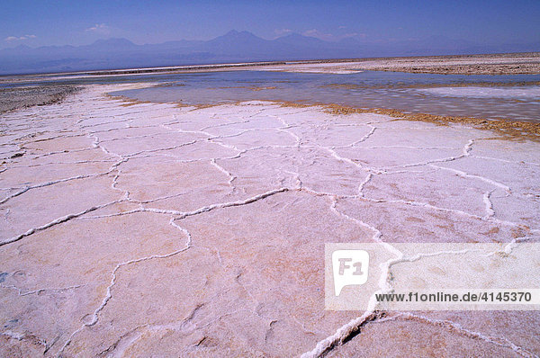 CHL  Chile  Atacama-Wueste: Salzsee Salar de Atacama.