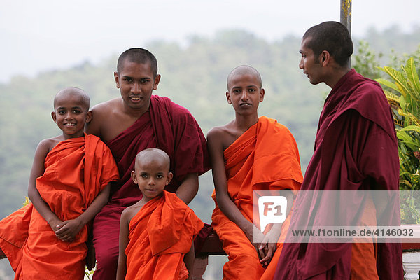 LKA  Sri Lanka : Junge Moenche im Buddhistisches Kloster Asgiriya Tempel auf einem Berg oberhalb der Stadt Kandy.
