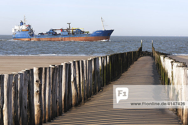 Buhne am Nordseestrand  vorbeifahrendes Frachtschiff  Zoutelande  Walcheren  Zeeland  Niederlande  Europa