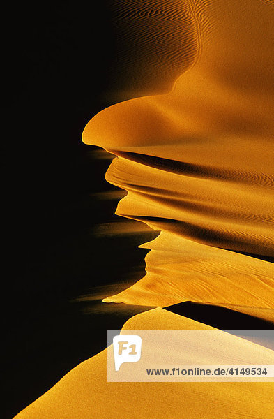 Sanddüne in der Wüste Erg Murzuk  Sahara  Libyen  Afrika