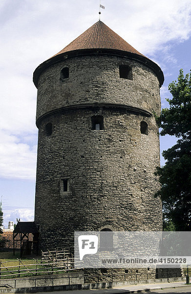 Kanonenturm Kiek in de Kök  Tallinn  Estland